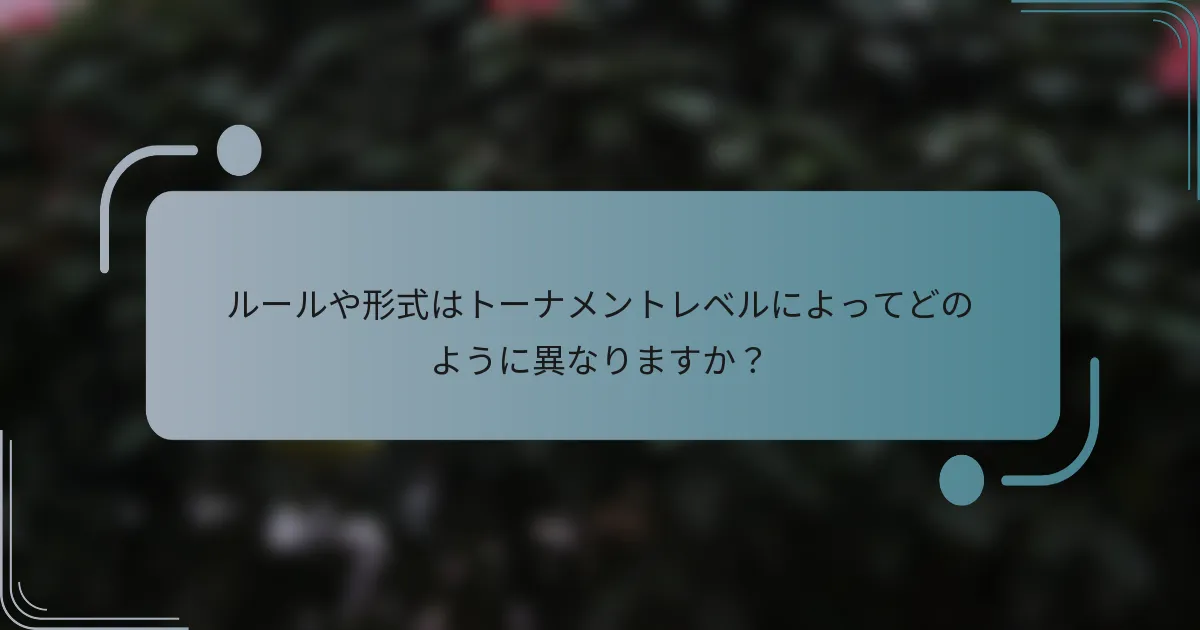 ルールや形式はトーナメントレベルによってどのように異なりますか？